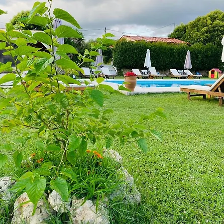 Willa The Mansion Of Dionisos And Dimitras