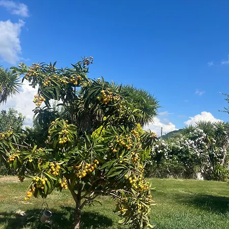 Villa The Mansion Of Dionisos And Dimitras