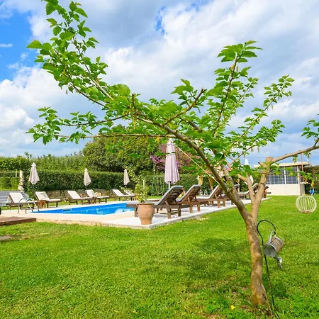 Vila The Mansion Of Dionisos And Dimitras *