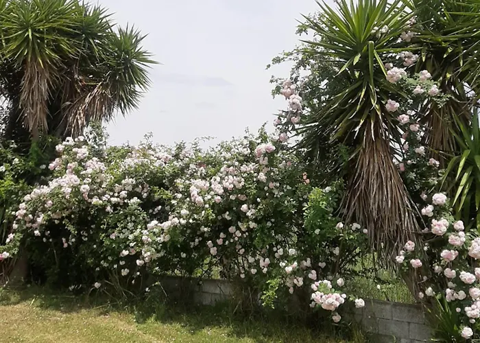 וילה The Mansion Of Dionisos And Dimitras Linaria (Ilia)