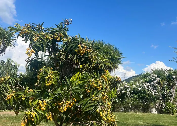 Villa The Mansion Of Dionisos And Dimitras